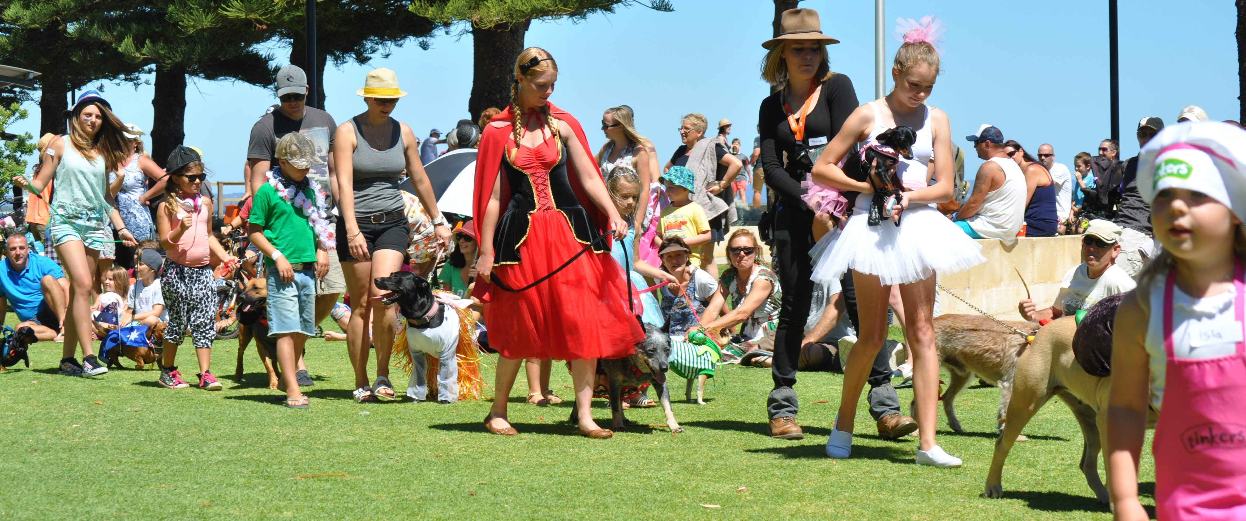 Pet Parade 2016 GEOvet